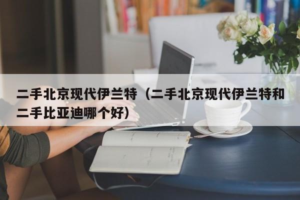 二手北京现代伊兰特（二手北京现代伊兰特和二手比亚迪哪个好）
