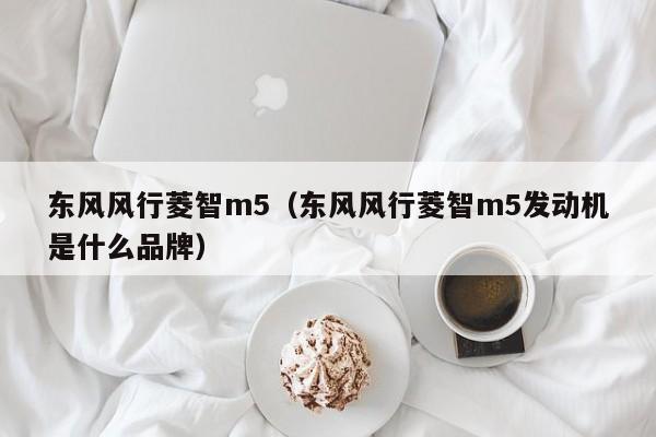 东风风行菱智m5（东风风行菱智m5发动机是什么品牌）