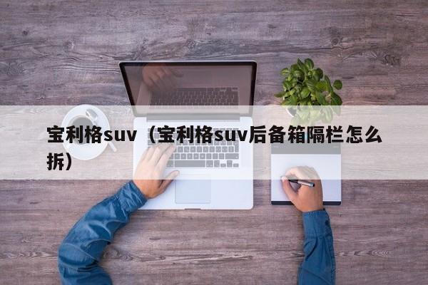 宝利格suv（宝利格suv后备箱隔栏怎么拆）