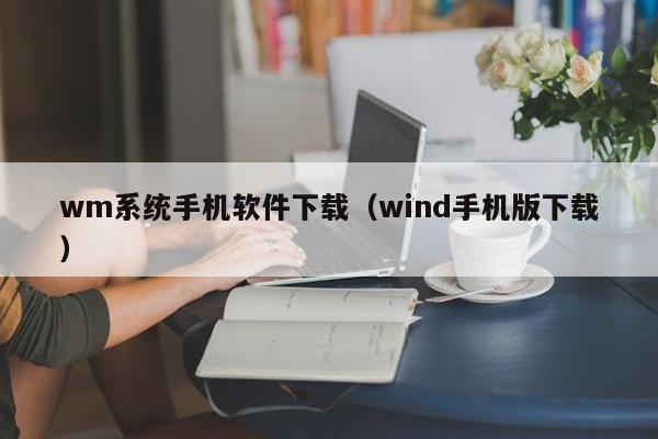 wm系统手机软件下载（wind手机版下载）