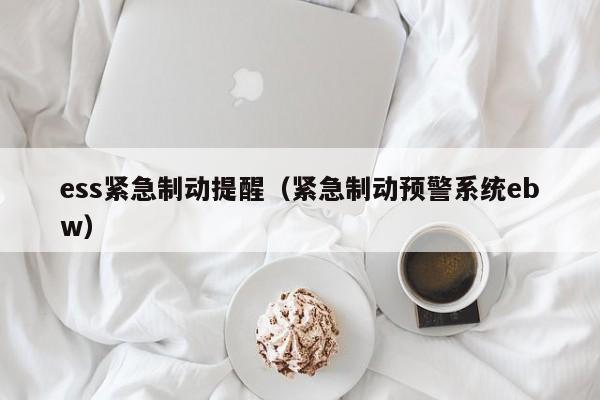 ess紧急制动提醒（紧急制动预警系统ebw）