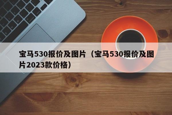 宝马530报价及图片（宝马530报价及图片2023款价格）