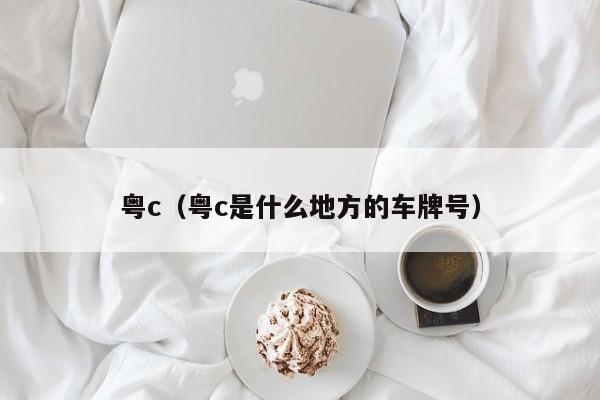 粤c（粤c是什么地方的车牌号）