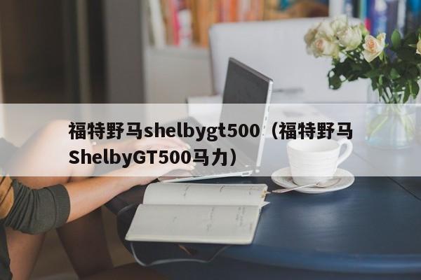 福特野马shelbygt500（福特野马ShelbyGT500马力）