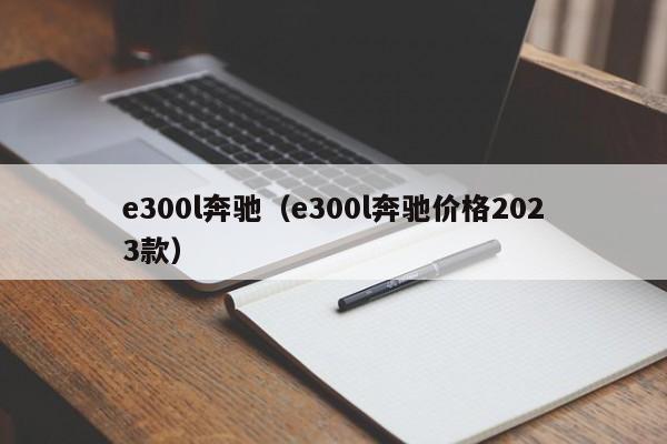 e300l奔驰（e300l奔驰价格2023款）