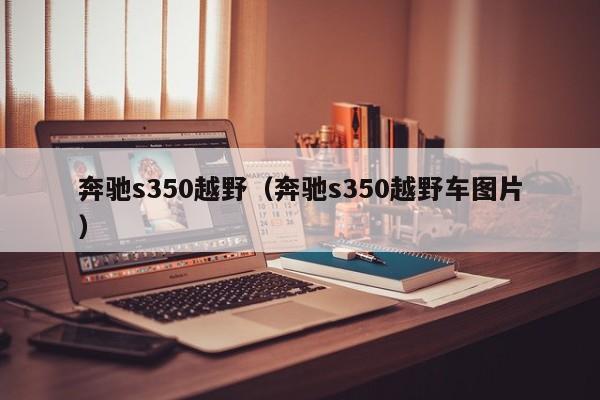 奔驰s350越野（奔驰s350越野车图片）