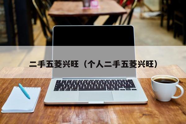二手五菱兴旺（个人二手五菱兴旺）