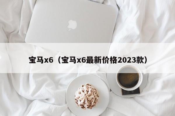 宝马x6（宝马x6最新价格2023款）