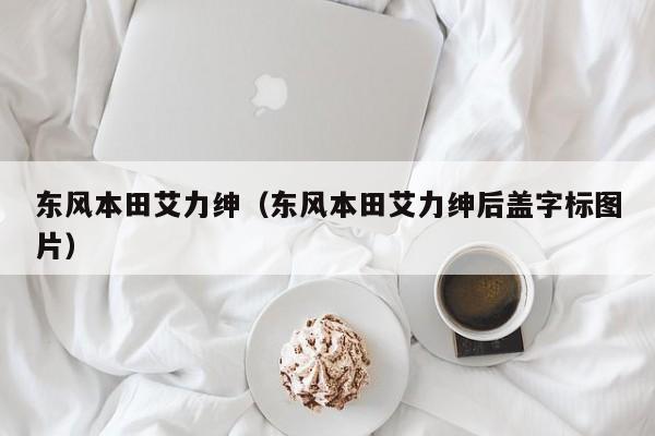 东风本田艾力绅（东风本田艾力绅后盖字标图片）