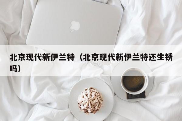 北京现代新伊兰特（北京现代新伊兰特还生锈吗）
