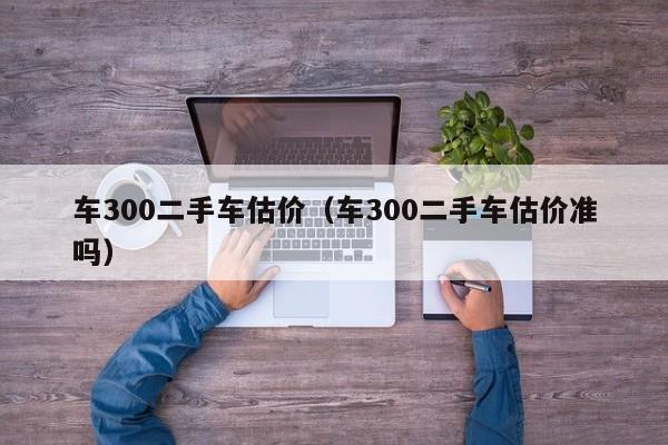 车300二手车估价（车300二手车估价准吗）