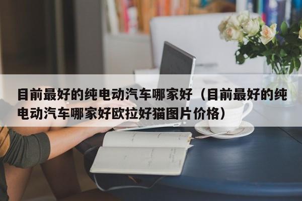 目前最好的纯电动汽车哪家好（目前最好的纯电动汽车哪家好欧拉好猫图片价格）