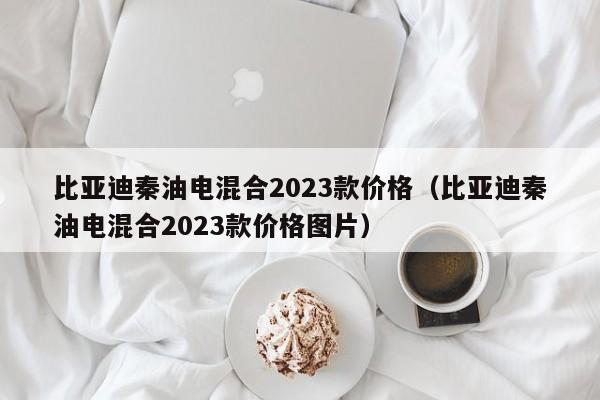 比亚迪秦油电混合2023款价格（比亚迪秦油电混合2023款价格图片）
