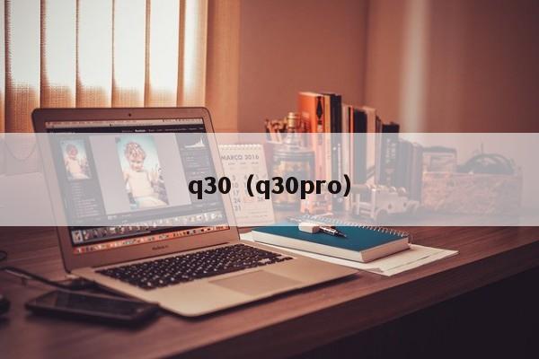 q30（q30pro）