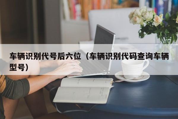 车辆识别代号后六位（车辆识别代码查询车辆型号）